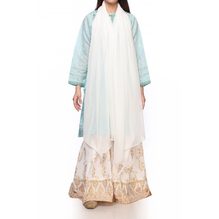 White Color Plain Dyed Chiffon Dupatta PS270209