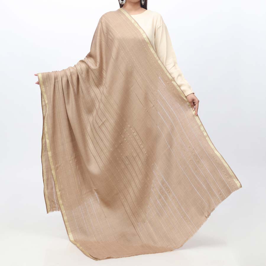 Brown Zari Border Shawl  PW3709